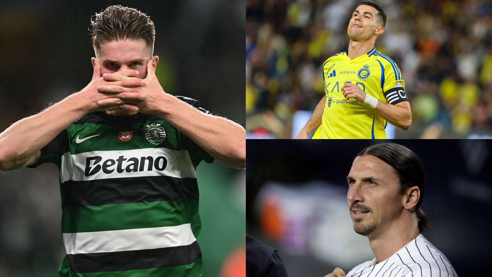 固其作为欧 固其作为欧